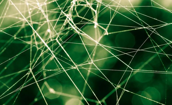 Spinnennetz als Synonym für was ist crawling