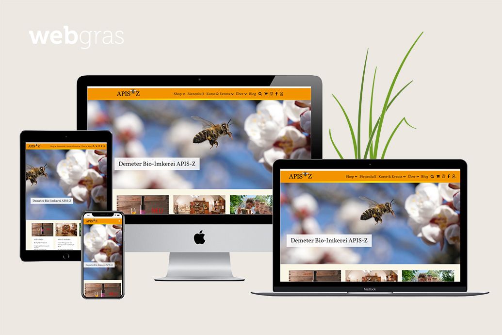 APIS-Z Webseite auf verschiedenen Endgeräten