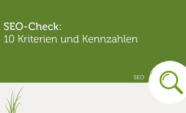 Grafik mit Lupe zu SEO Check Kennzahlen