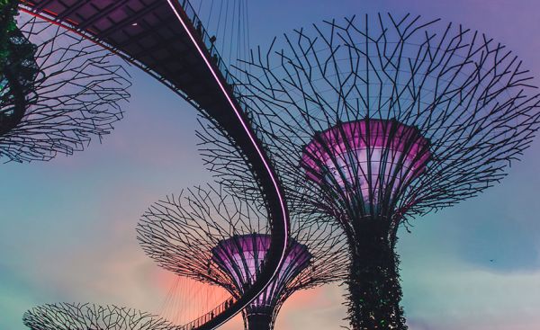 KI in Websites - Verästelte Mammutbäume aus Metall (Singapur)